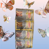 Goutte Blancheur Maney