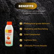 SivoClair Brightening Body Lotion  / - Kismet Beauty Brands